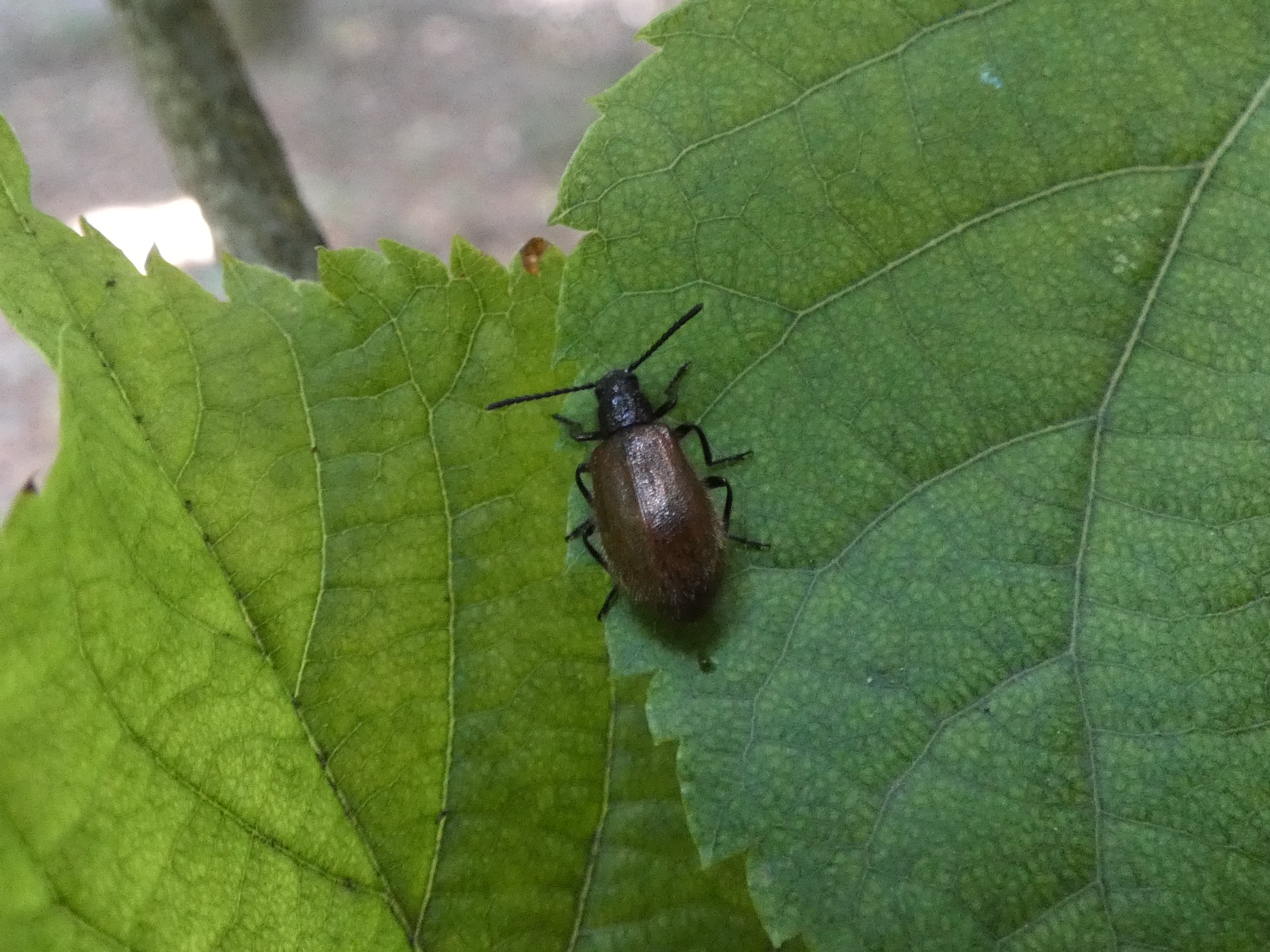 photo_3